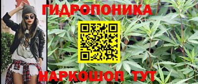 spice Севастополь