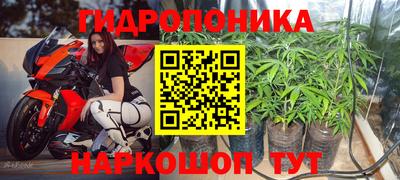 PSILOCYBIN Северобайкальск