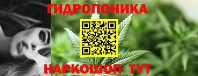 PSILOCYBIN Северобайкальск